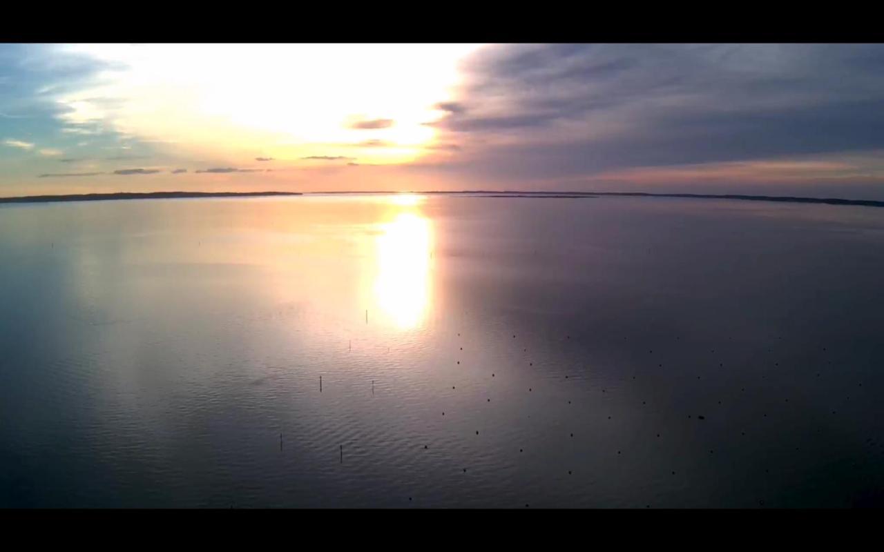 Appt. Bella Vita - Andernos Les Bains, Au Coeur Du Bassin D'Arcachon Exteriör bild